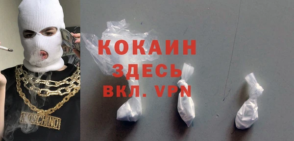 ГАЛЛЮЦИНОГЕННЫЕ ГРИБЫ Бородино