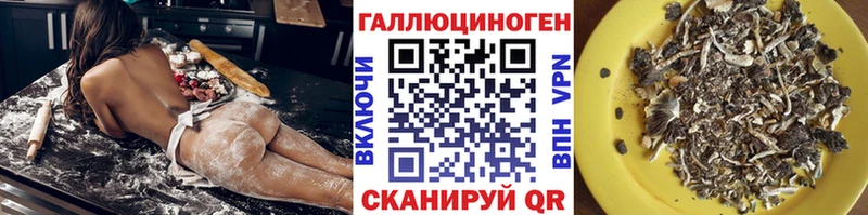 Купить закладки  Новоалександровск  Псилоцибиновые грибы MAGIC MUSHROOMS 